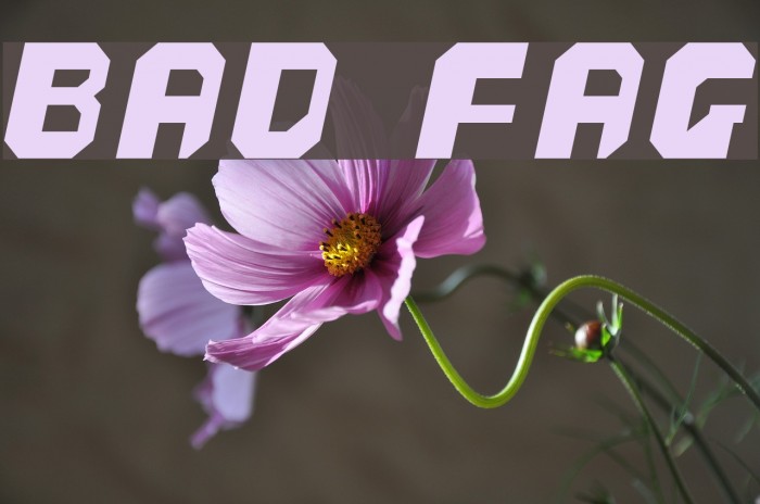 bad fag Font examples
