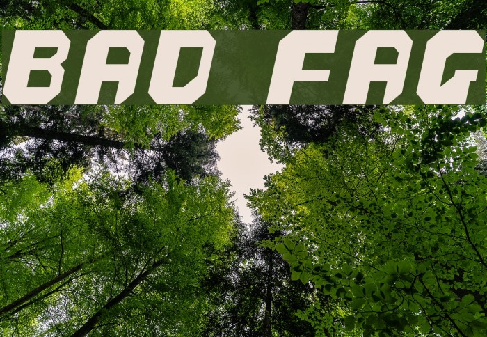 bad fag Font examples