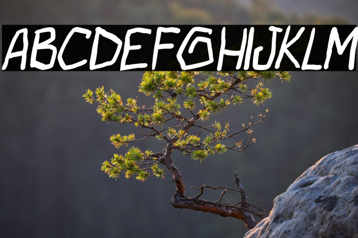 bad habits pg Italic Example 2