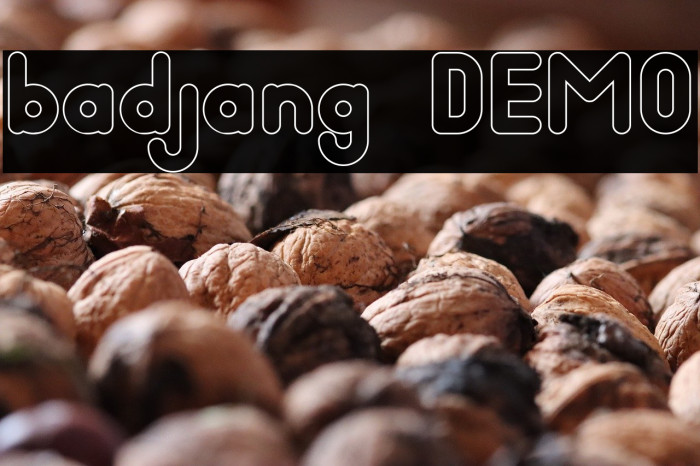 badjang DEMO Example 2