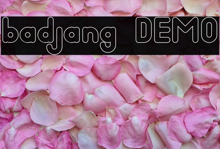 badjang DEMO Example 3