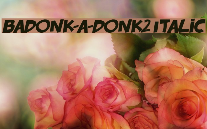 badonk-a-donk2 Italic Example 1