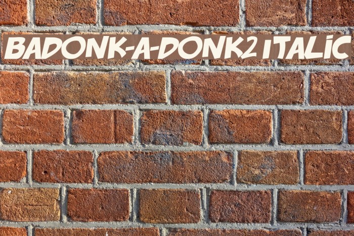 badonk-a-donk2 Italic Example 2