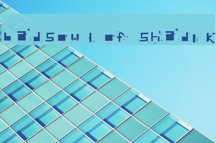 badsoul of shadik Example 1