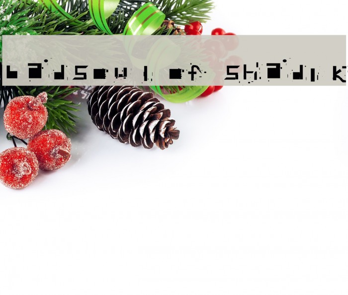 badsoul of shadik Example 3