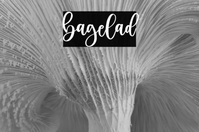 bagelad Font examples