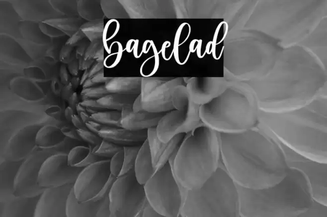 bagelad Font examples