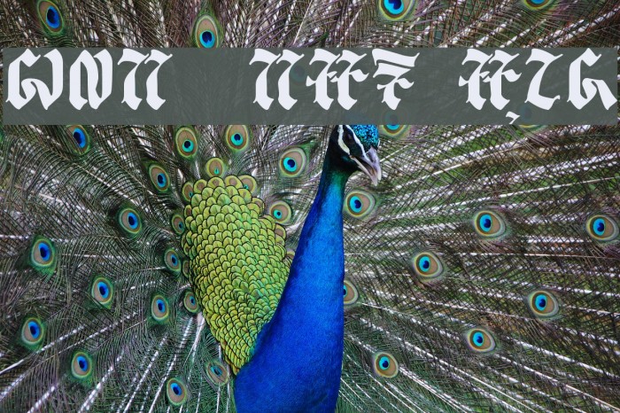 balaka - aksara sunda Example 1