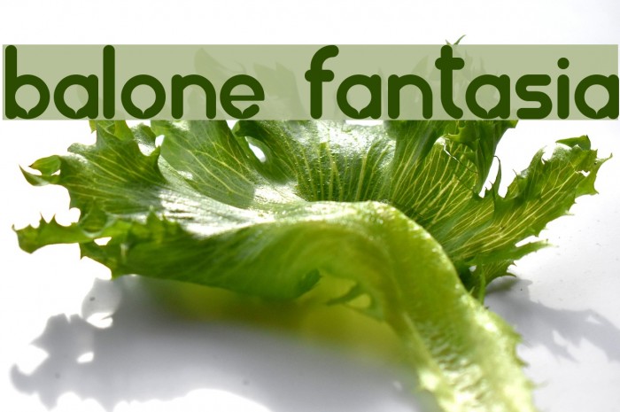 balonez fantasia Font examples