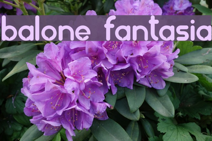 balonez fantasia Font examples