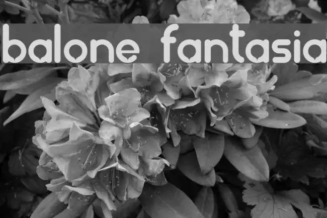balonez fantasia Example 3