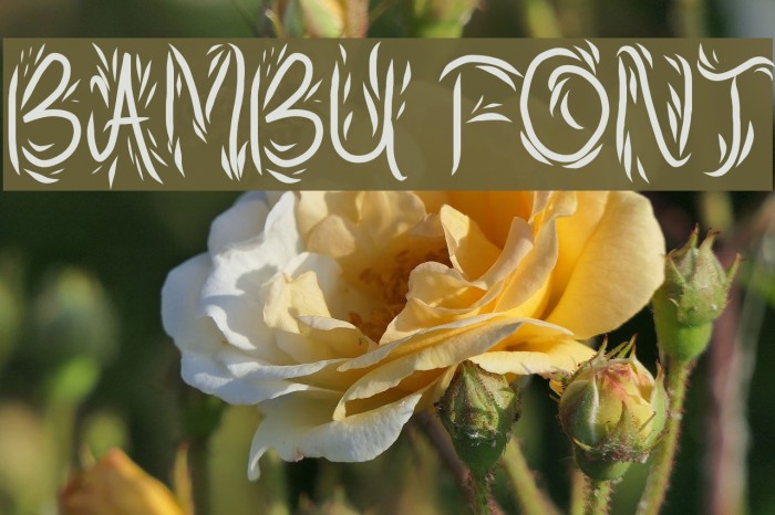 bambu Font examples