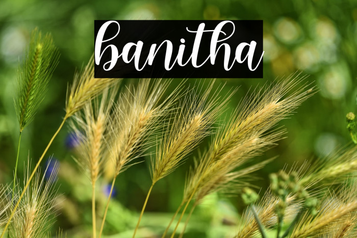 banitha Example 1