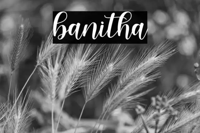 banitha Font examples
