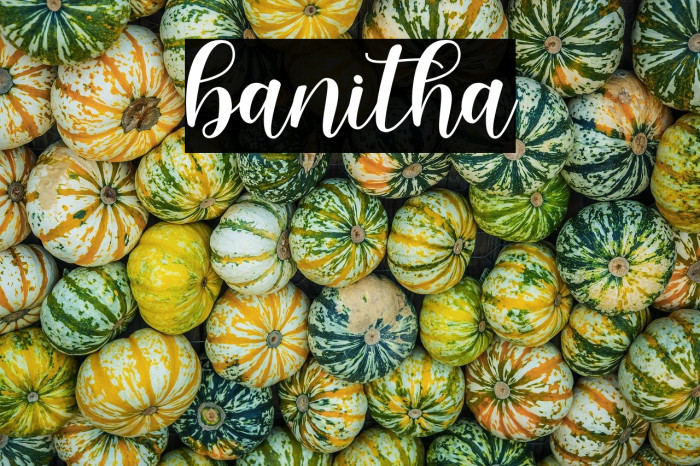 banitha Example 2