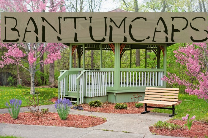 bantum caps Font examples