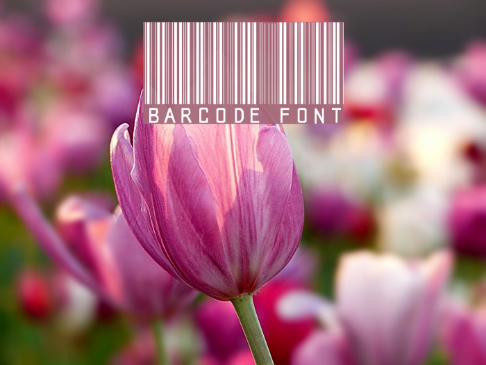 barcode font Font examples