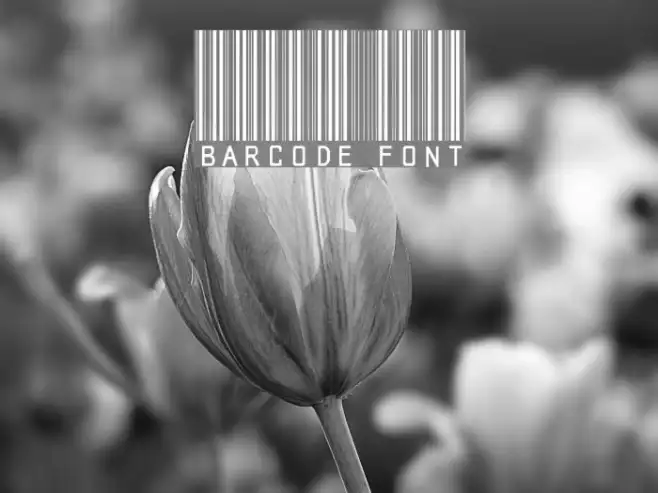 barcode font Example 1