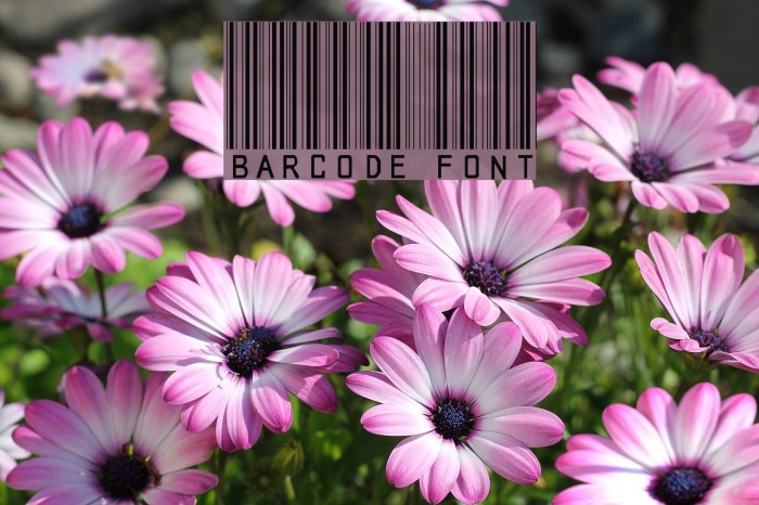 barcode font Font examples