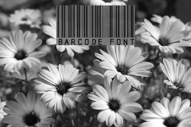 barcode font Example 2