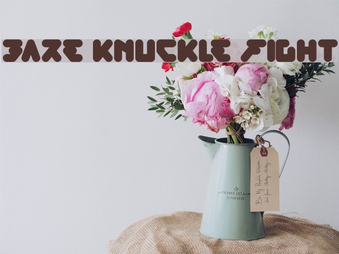 bare knuckle fight Example 1