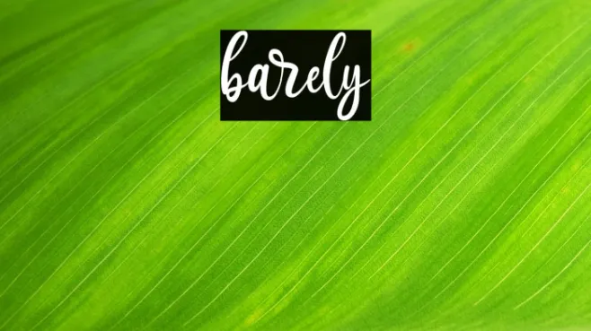 barely Example 2