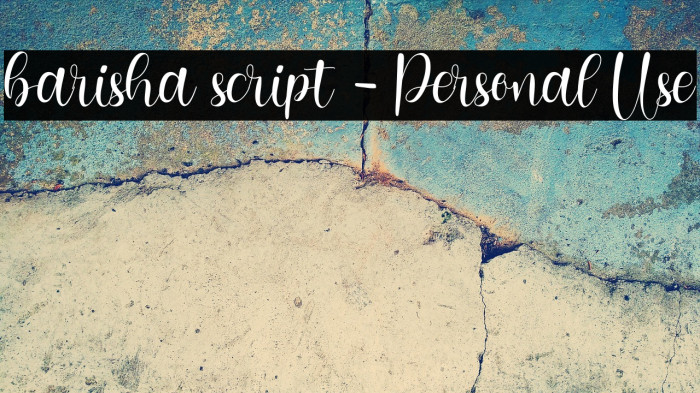 barisha script - Personal Use Example 1