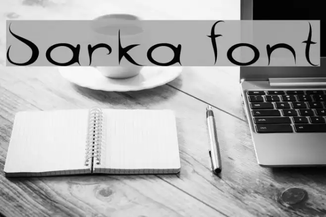barka Example 1