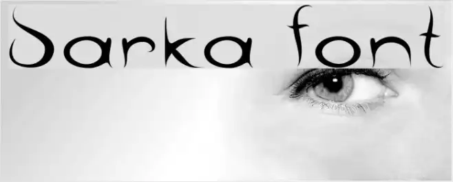 barka Example 2