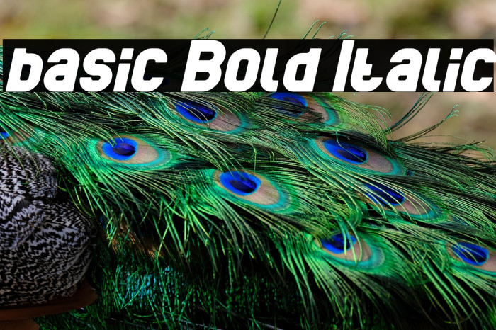 basic Bold Italic Example 1