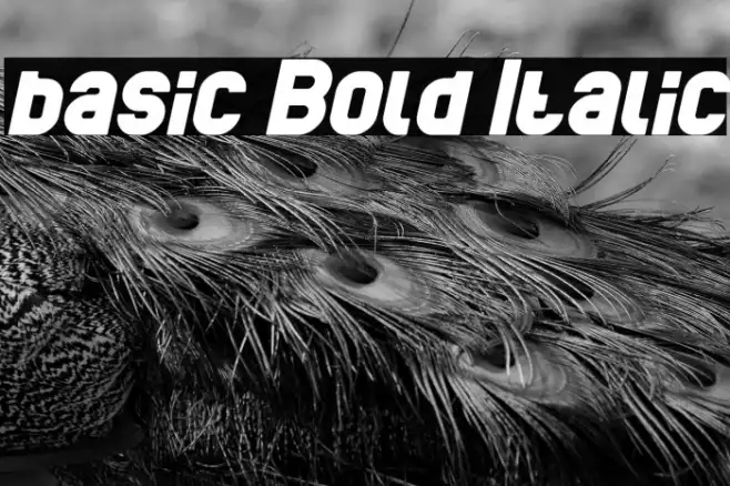 basic Bold Italic Example 1