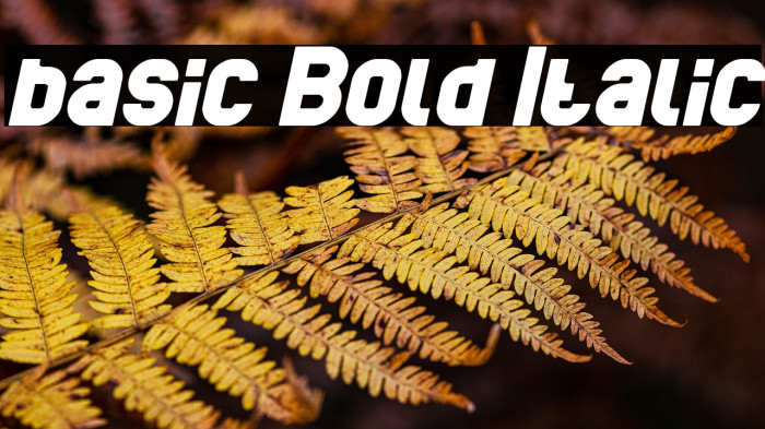 basic Bold Italic Example 2