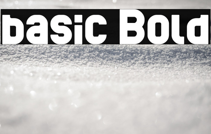 basic Bold Example 1