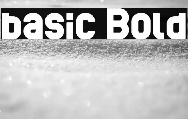 basic Bold Font examples