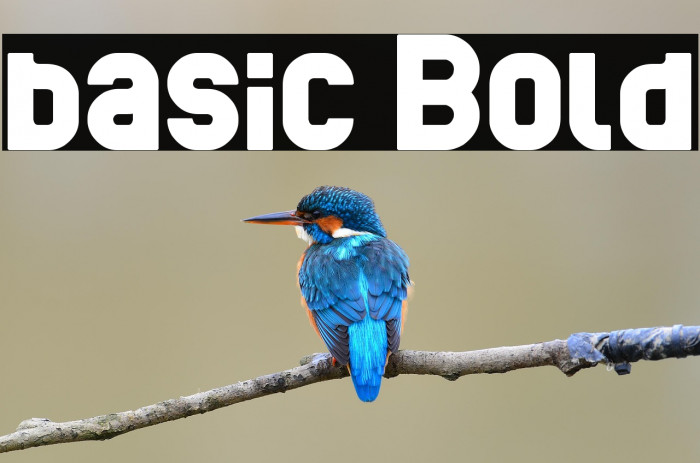 basic Bold Example 2