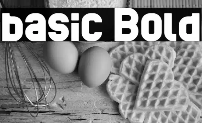 basic Bold Font examples