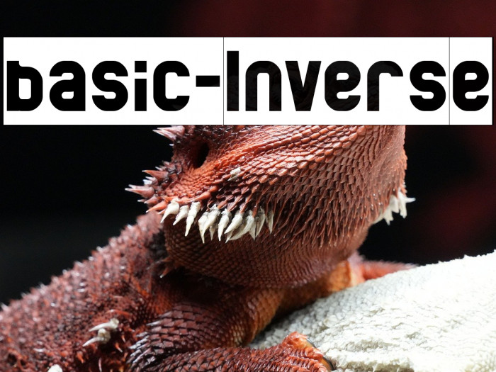 basic-Inverse Example 1