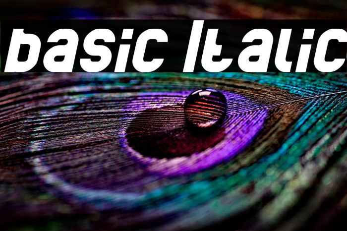 basic Italic Example 1