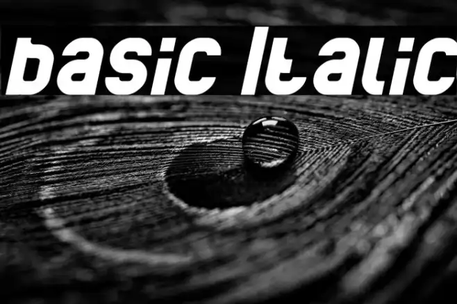 basic Italic Example 1