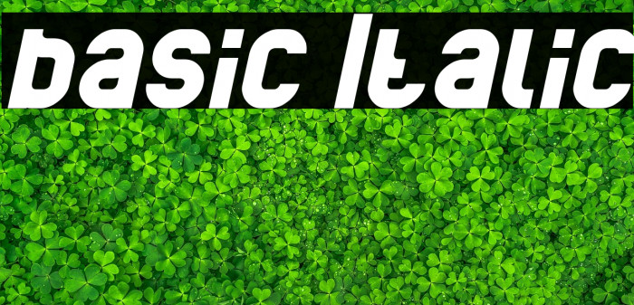 basic Italic Example 3