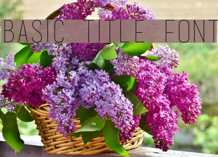 basic title font Font examples