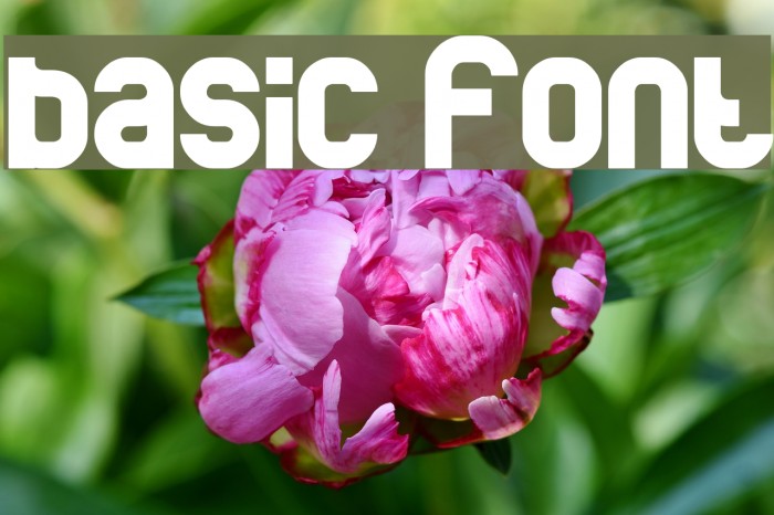 basic Font examples