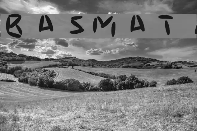 basmati Font examples