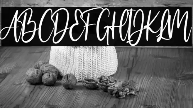 bastian Font examples