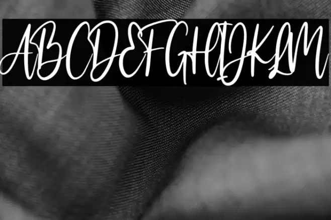 bastian Font examples