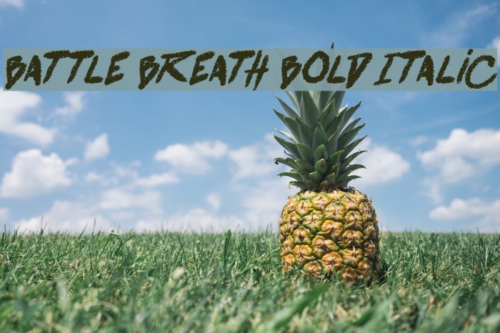 battle breath Bold Italic Font examples