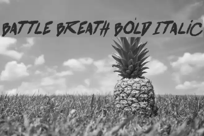 battle breath Bold Italic Font examples