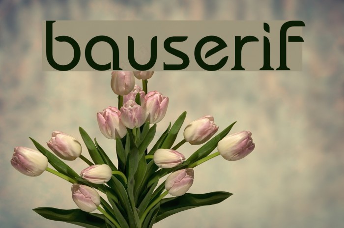 bauserif Font examples