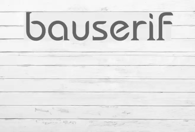 bauserif Font examples