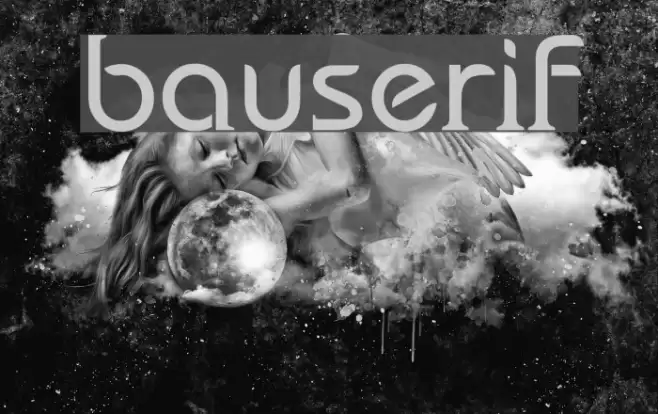 bauserif Font examples